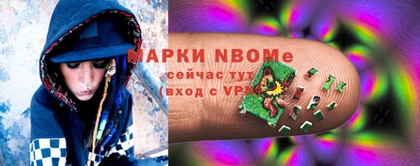 прущие грибы Армянск