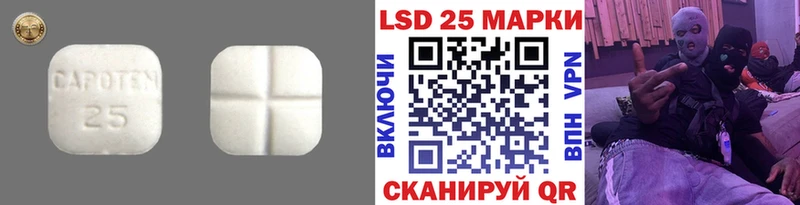Лсд 25 экстази ecstasy  дарк нет официальный сайт  Гдов 