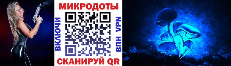 Псилоцибиновые грибы мицелий  нарко площадка наркотические препараты  Гдов 