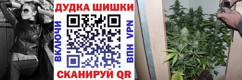 Бошки Шишки Amnesia кракен ТОР Гдов